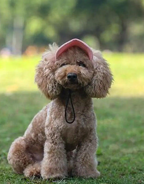 Load image into Gallery viewer, Pet Dog Caps Small Puppy Pets Summer Solid Oxford Cap Dog Baseball Visor Hat Outdoor Accessories Sunscreen Bonnet Cap Chihuahua
