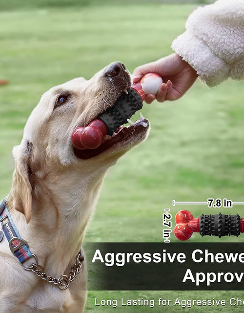 Load image into Gallery viewer, Dinosam Dog Toys for Aggressive Chewers: Squeaky Dog Chew Toy, Indestructible Dog Toy for Medium and Large Dog, Green
