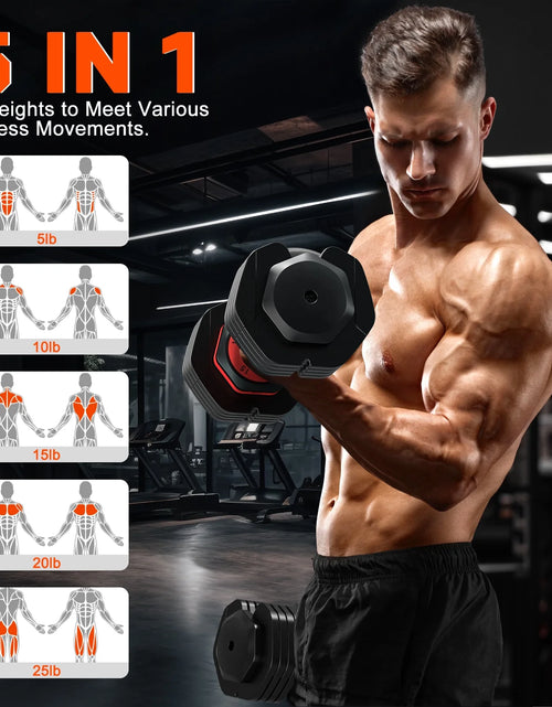 Load image into Gallery viewer, 55Lb 5 in 1 Adjustable Dumbbell Free Weights Plates and Rack - Hand Weights for Women and Men - Adjust Weight for Home Gym Full Body Workout Fitness
